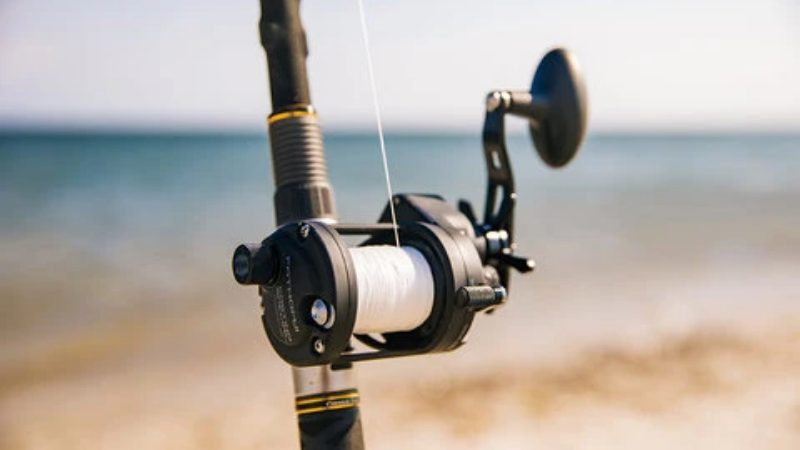 10 Best Surf Fishing Reels For Surf Fishing [2022 Buying Guide]