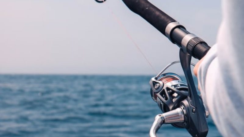 Best Beginners Fly Fishing Rods Brands For Saltwater 2022
