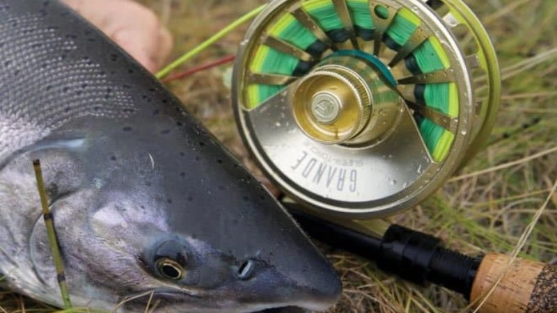 10 Best Salmon Fishing Reels (Okuma, Daiwa) For Salmon Fishing 2022