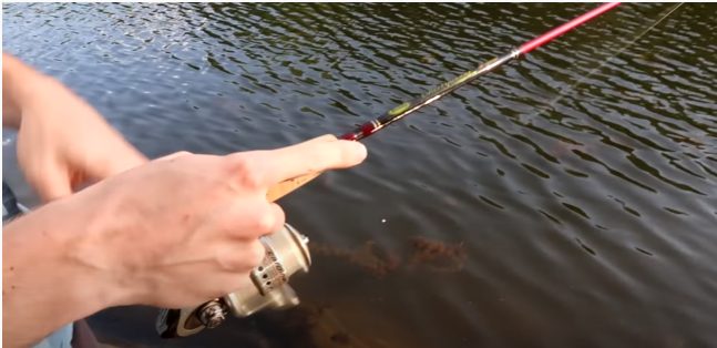 how to use a spinning reel reel spins how to use how to reel in a fishing rod how to fish how to string fishing rod spinning reel how to cast spinning reel spinning reel fishing spin reel fishing spinning reel line setup spinning cast casting a spinning reel spinning reel how to line a spinning reel