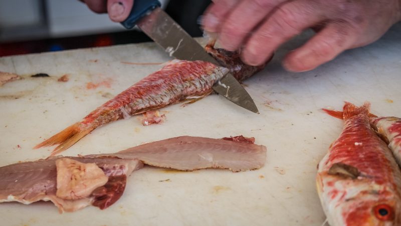 Best Flexible Boning Knife for Deer, Brisket & Chicken(Fish) 2022