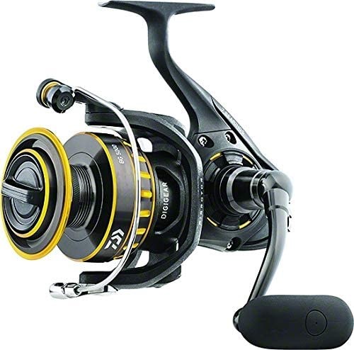 best budget spinning reel cheap spinning reel spinning reels under 50 value spinning reel affordable spinning reel budget spinning reels under $50 inexpensive best budget spinning combo value fishing reels used spinning reels discount what is the best fishing reel for the money? <a href=