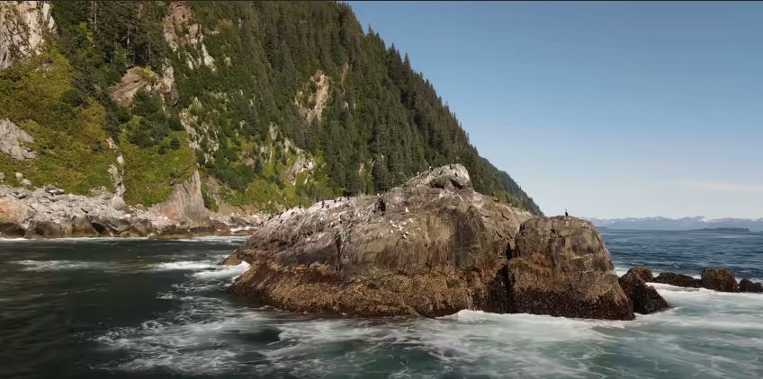 Alaska Fishing Trips Locations Halibut, Salmon & Trout | World Destination