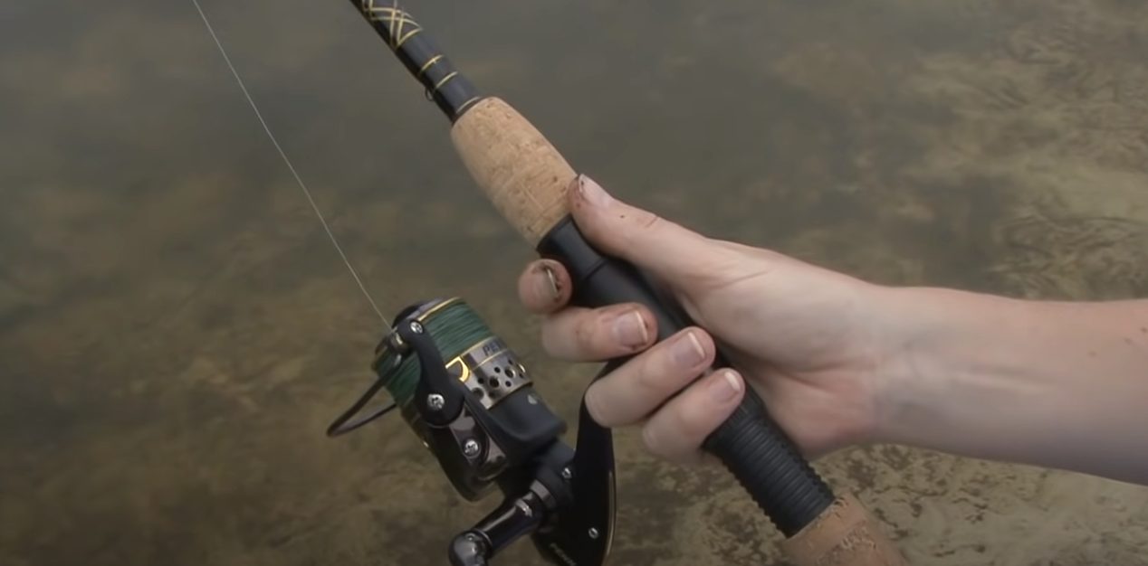 A Beginner’s Guide to Fishing: Explained Everything You Need to Know
