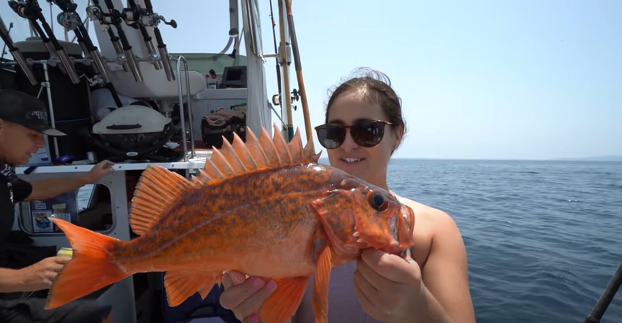 How to Catch Rockfish