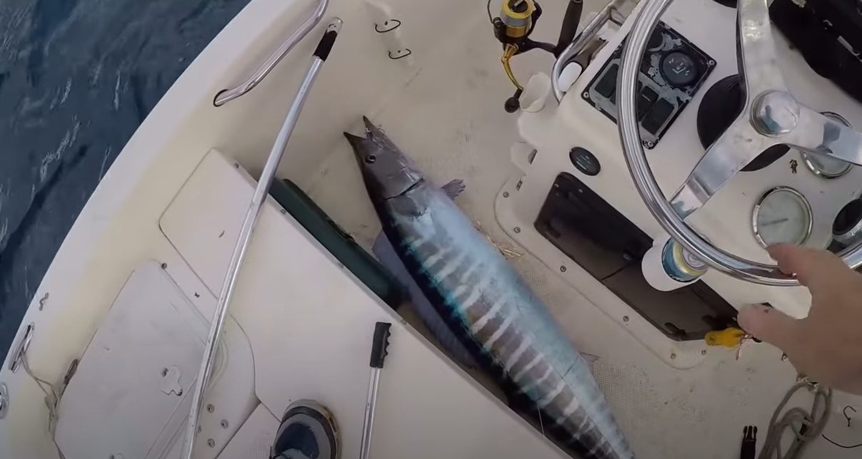 How to Catch Wahoo